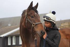 CASE STUDY: Harry Enright