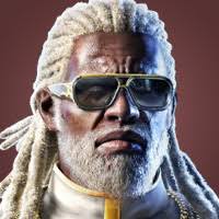 Overview and Guide for Leroy