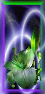 In this category, you will find awesome flowers images and animated flowers gifs! Decent Image Scraps Flower Animation Flowers Gif Flowers Amazing Gifs