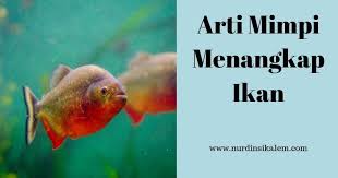 Namun gigi piranha perut merah lebih runcing sehingga bisa lebih mudah menyobek daging. Terbaik Cari Arti Mimpi Ikan