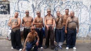[Imagen: images?q=tbn:ANd9GcTo0YdjnHNBQogLTIursZI...QbTW0pwUyl]