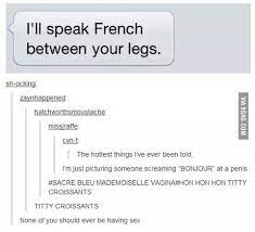 I Ll Speak French Between Your Legs 9gag