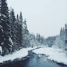 See more ideas about winter aesthetic, dark aesthetic, snow. Snow Nature And Winter Image Winter Nature Winter Photography Nature