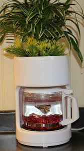 When choosing a plant to partner up with your fish, opt for something that will work with the design of the bowl. Upcycled Diy Fish Bowl Planter The Unextreme Aquarium Decoration Aquarium Diy Deco Aquarium