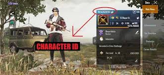 For character id, open your pubg pc or mobile app. Pubg Redeem Codes May 2020 Free Pubg Redeem Codes