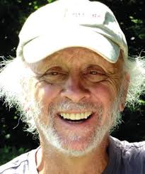 Early career researchers and predatory journals during the Covid-19  pandemic. An international analysis