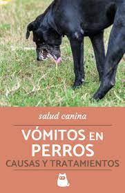 Vomitos En Perros Causas Tratamiento Tipos De Vomito Con Fotos Remedios Caseros Para Perros Perros Perros Enfermos