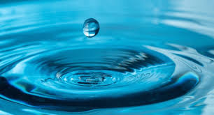El día mundial del agua fue proclamado por la onu en 1992. Dia Mundial Del Agua