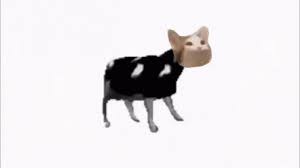By kitradragonfox, posted 7 months ago animator/digital artist | support me with shinies! Pop Cat Polish Cow Gif Popcat Polishcow Meme Discover Share Gifs In 2021 Pop Cat Cow Meme Cow