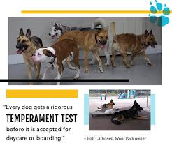 The pet spa llc, bristol, connecticut. Woof Pack They Speak Dog Pet Boarding And Daycare Magazine