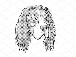 Black And White Spaniel Cartoon English Setter Dog Breed Cartoon Ret English Setter Dogs Cocker Spaniel Dog Spaniel Dog
