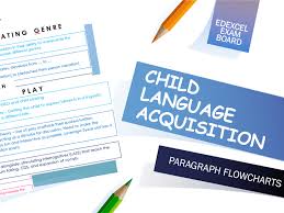Child Language Acquisition Paragraph Flowcharts A Level English Language
