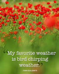Birds Chirping In The Morning Quotes The Sweetest Spring Quotes To Welcome The Season Of Renewal Spring Quotes Springtime Quotes Spring Quotes Flowers