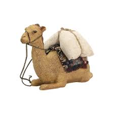 612 x 408 jpeg 53 кб. Nativity Animal Camel Lying Down