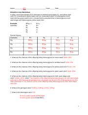 A monohybrid cross is a genetic cross between. Dihybrid Worksheet Name Class Date Elena Montgomery 7 8 Dihybrid Cross Worksheet In Peas Round Seed Shape R Is Dominant To Wrinkled Seed Shape R And Course Hero