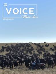 May June July Voice by American Maine-Anjou Association - Issuu