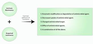 Image result for Antimicrobial Agent