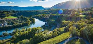 Geneva (a major city in switzerland). Weinguide Swiss Wine Genf 2020 Vinum Extras