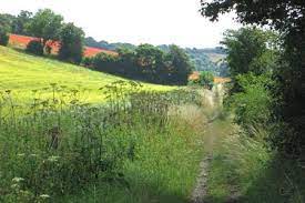 Bars, pristine countryside, and sights from chiltern hills to chartridge park golf club—discover it all in chesham. Free Chilterns Walk Chesham Little Missenden And Amersham
