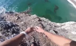 Create and share your own cliff jump gifs, with gfycat. Cliff Jumping Gif Contest Win Sbd No Upvote Resteem Or Follow Required To Enter Steemit