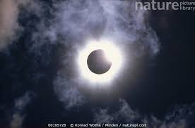 Check spelling or type a new query. Nature Picture Library Solar Eclipse August 11 1999 Photographed From Munich Germany Konrad Wothe