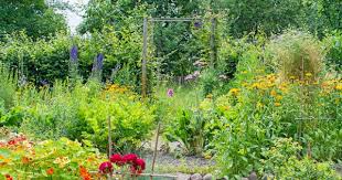 Vierfelderhof Outdoor Structures Plants Outdoor