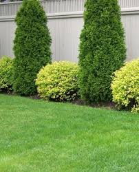 Pin On Front Yard Ideas