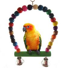 Bird S Rainbow Wooden Swing In 2020 Pet Birds Parrots Bird Supplies Bird Toys