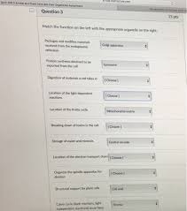 This allows for researchers to study and learn more about the cells. Quiz Hw 3 Animal And Piant Cells And Their Chegg Com