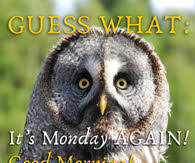 It's monday but keep smiling. Funny Monday Quotes Pictures Photos Images And Pics For Facebook Tumblr Pinterest And Twitter