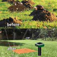 Check spelling or type a new query. Buy Careland Solar Mole Repellent Sonic Groundhog Repeller Stakes Gopher Deterrent Spikes Chaser And Get Rid Of Voles Burrowing Rodents From Garden Yard 4 Online In South Africa B08p4pd1gv