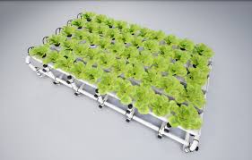 Hydroponics System Lr Hydroponics System Hydroponics Portrait Photography Tutorial
