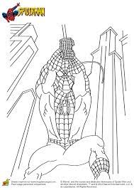 coloriage de heros spiderman 35 glubschi pingouin