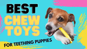 Your dog will have a blast trying to get the goodies out of every nook and cranny. Busy Toys For Dogs That Are Fillable Youtube