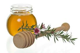 Manuka honig ist in aller munde. Manuka Honig Kaufen Anwendung Wirkung Und Weitere Infos