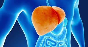 Probiotics help digestive disorders journal, probiotics effects immune system, probiotics infant colic gas, probiotic depression forum chat, what is probiotics in spanish dictionary, probiotics too. Why Probiotics Are Great For Your Liver Thehealthsite Com
