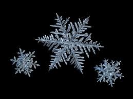 Macro Photos Of Snowflakes Show Impossibly Perfect Designs See snowflake stock video clips. macro photos of snowflakes show