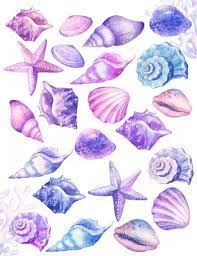 Watercolor Seashells Clipart Ocean Conch Shells Starfish Etsy In 2021 Seashell Clipart Shell Drawing Watercolor Ocean