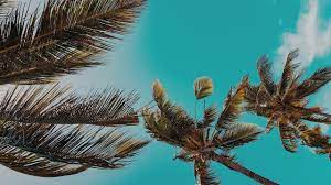 See more ideas about summer aesthetic, fashion inspo outfits, summer. Aesthetic Video Summer Youtube