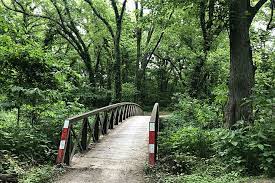 Visit bringfido for an overview of the trail, along with pictures, directions, and the map below shows a parking area with convenient access to the little blue trace trail. Little Blue Trace Trail Missouri Trails Traillink