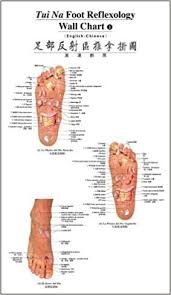 Buy Tui Na Foot Reflexology Wall Chart English Chinese