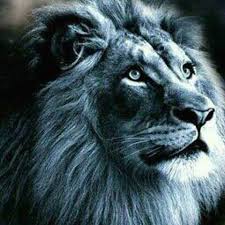 Paard verzameld (@paardverzameld) posted on instagram: Etegi Home Facebook