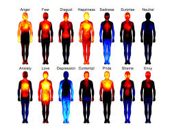 these heatmaps reveal where humans feel certain emotions