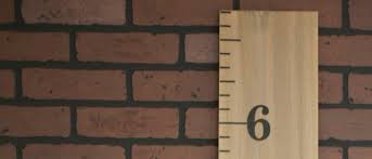 Little acorns diy vinyl growth chart ruler decal kit. Diy Growth Chart Ruler