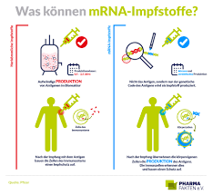 Maybe you would like to learn more about one of these? Mrna Impfstoffe Der Biologie Auf Die Sprunge Helfen