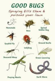 good bug chart