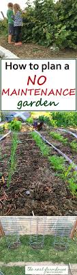Great Advice For Planning A No Maintenance Garden 5 Secrets And How To Implement Them In The Garden Plants Lawn And Garden Organic Vegetable Garden