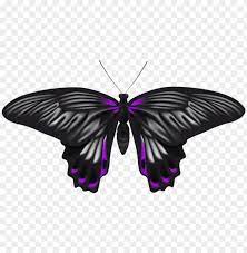 Check spelling or type a new query. Download Black Purple Butterfly Clipart Png Photo Toppng