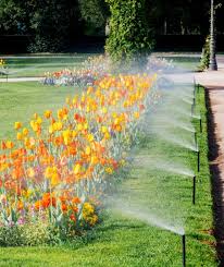 Discount99.us has been visited by 1m+ users in the past month Sprinkler Blowout Monster Scapes