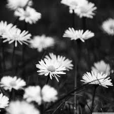 Uhd ultra hd wallpaper for desktop, iphone, pc, laptop, computer, android phone, smartphone, imac, macbook, tablet, mobile device. Sad Wallpapers Top Free Sad Backgrounds Wallpaperaccess
